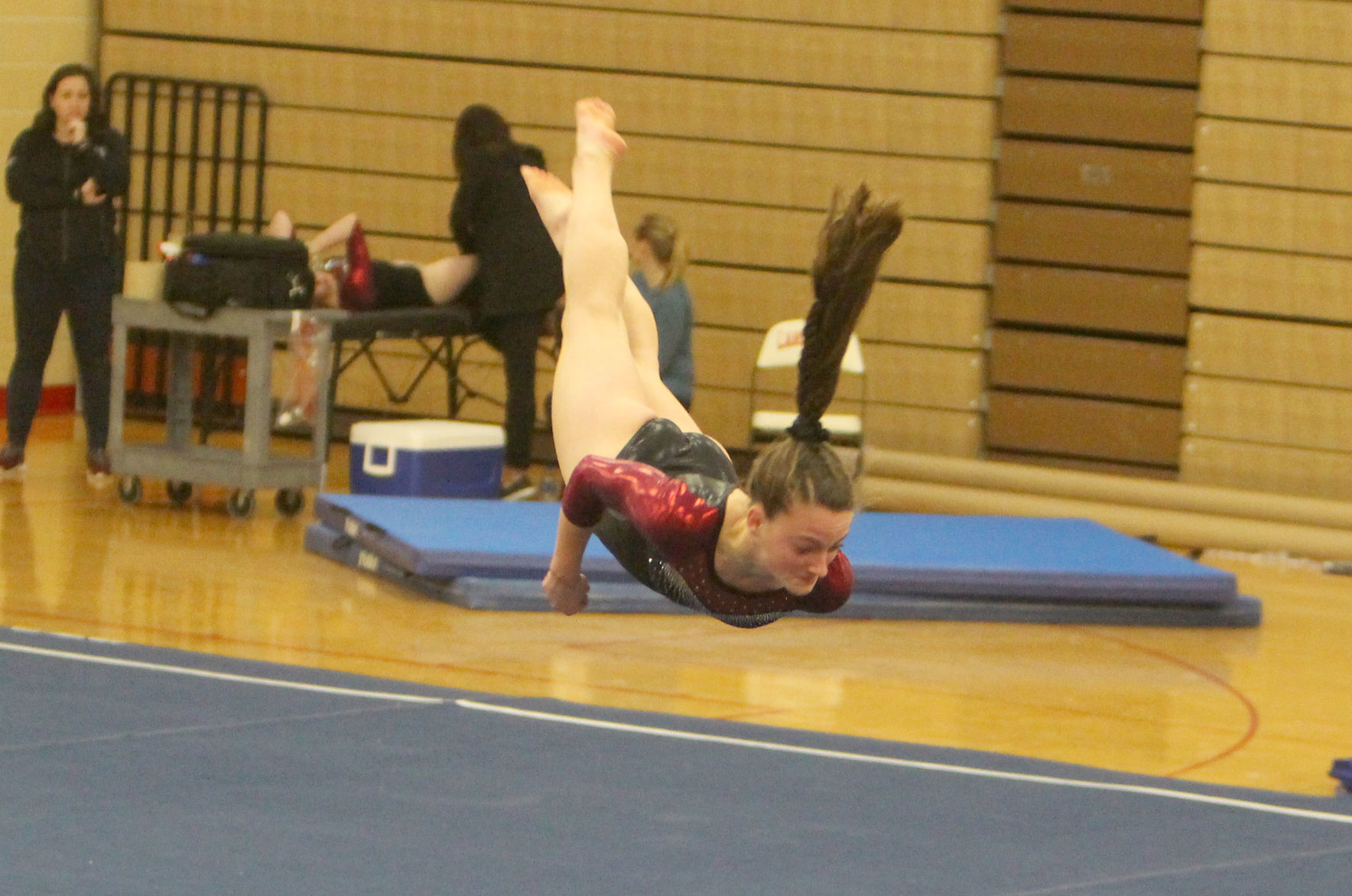 Chi-Hi Gymnastics Triangular 1-17-19